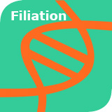 Filiation