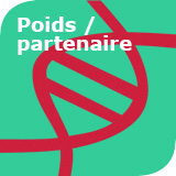 Poids / partenaire